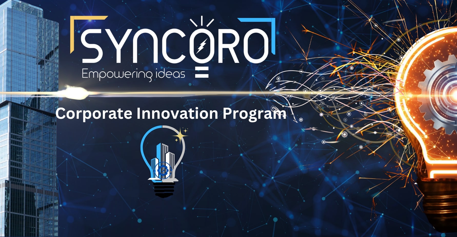 Corporate innovation program